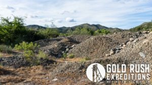 Gold Basin Mineral Property
