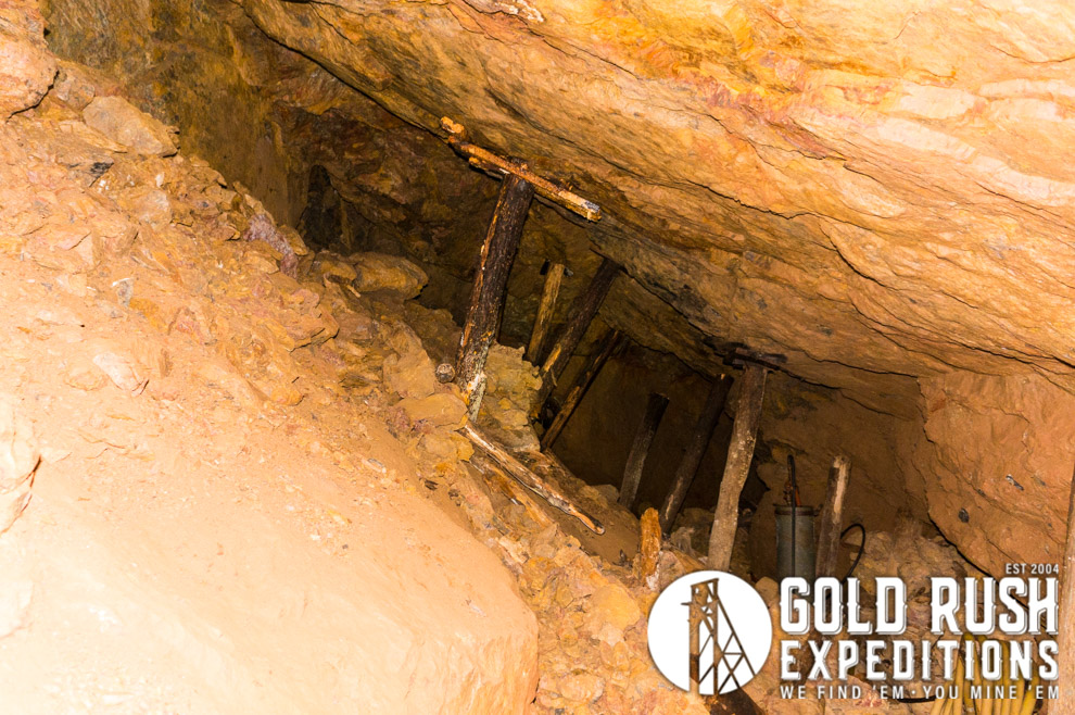 Glad You Asked: Do Ants Mine Gold? - Utah Geological Survey