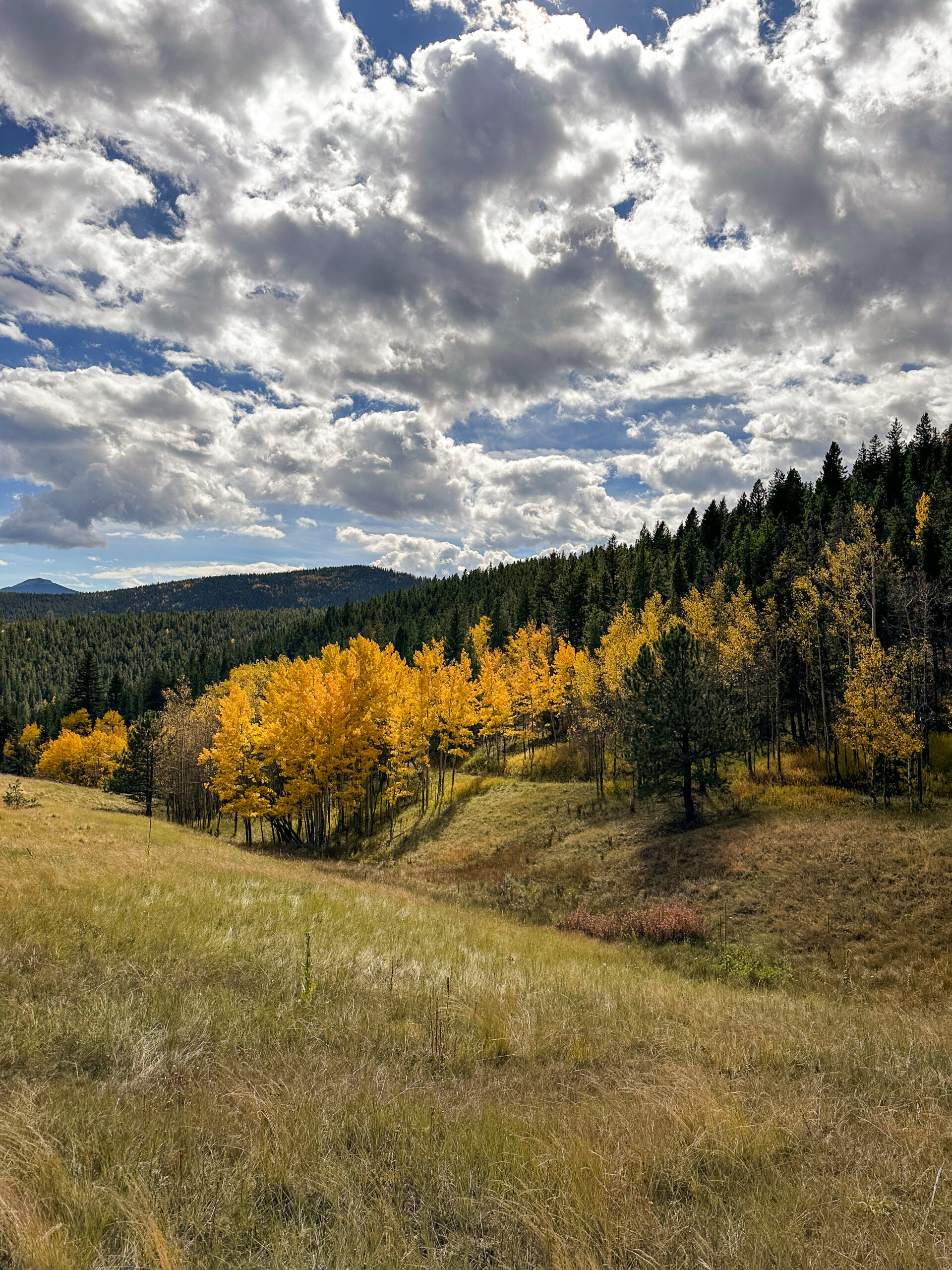 Stephens and Chance Mineral Property