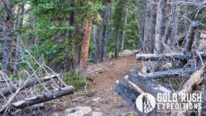 Gold Rush Expeditions, Inc Lienhart Gold Mineral Property
