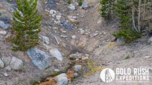 Gold Rush Expeditions, Inc Lienhart Gold Mineral Property