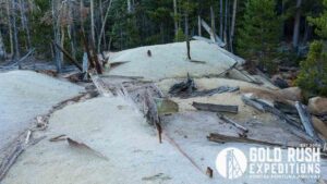 Gold Rush Expeditions, Inc Lienhart Gold Mineral Property