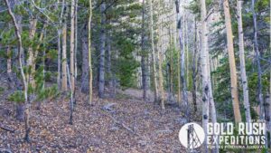 Gold Rush Expeditions, Inc Lienhart Gold Mineral Property