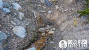 Gold Rush Expeditions, Inc Lienhart Gold Mineral Property