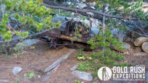 Gold Rush Expeditions, Inc Lienhart Gold Mineral Property