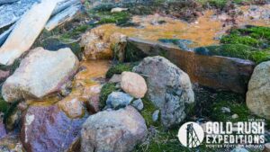 Gold Rush Expeditions, Inc Lienhart Gold Mineral Property