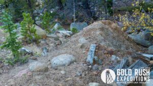 Gold Rush Expeditions, Inc Lienhart Gold Mineral Property