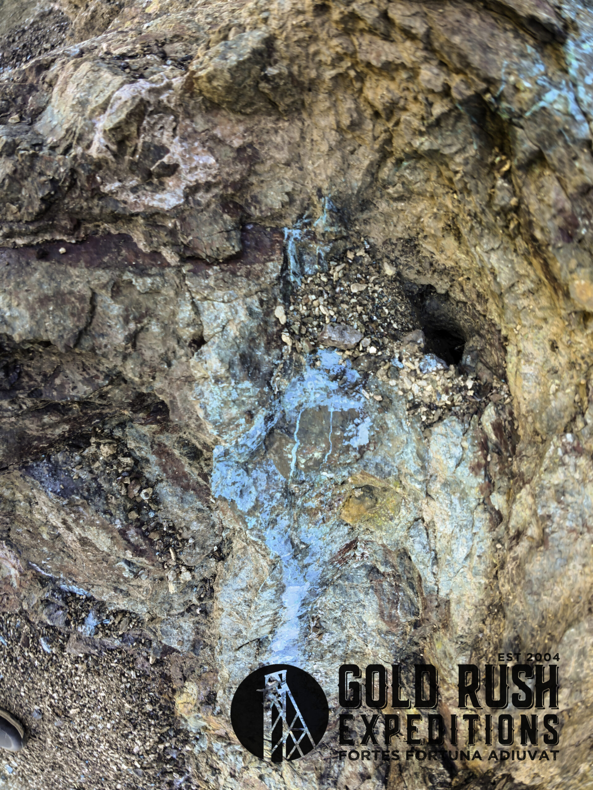 Arizona Pride Gold Mineral Property