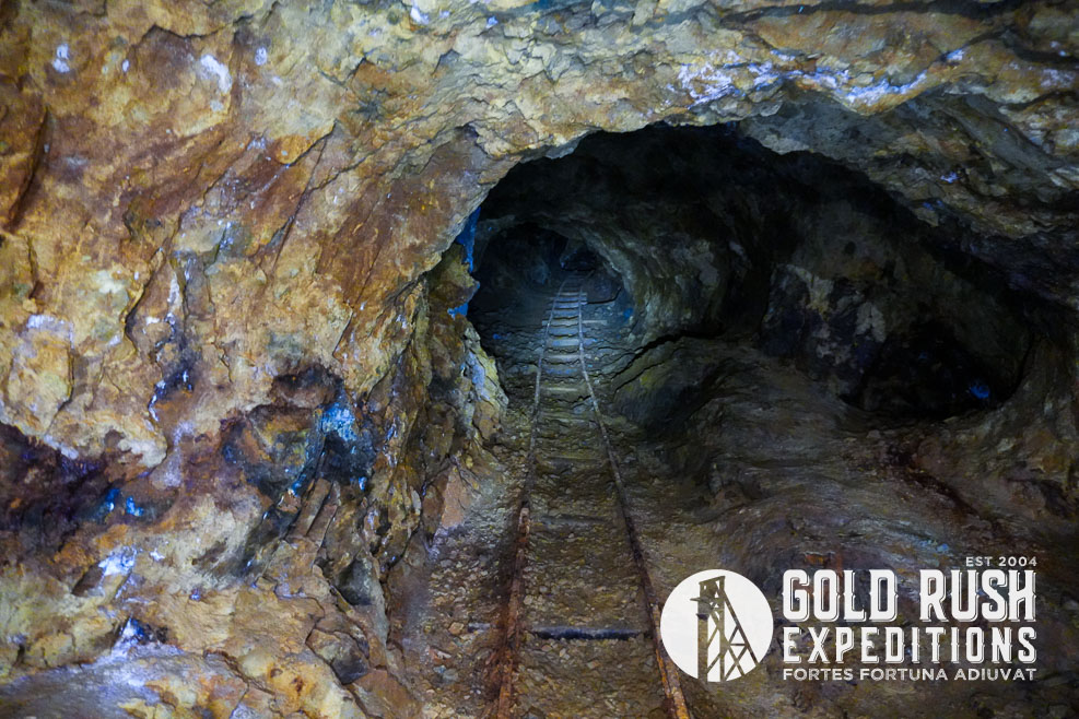 Bar X Gold | Gold Rush Expeditions, Inc®