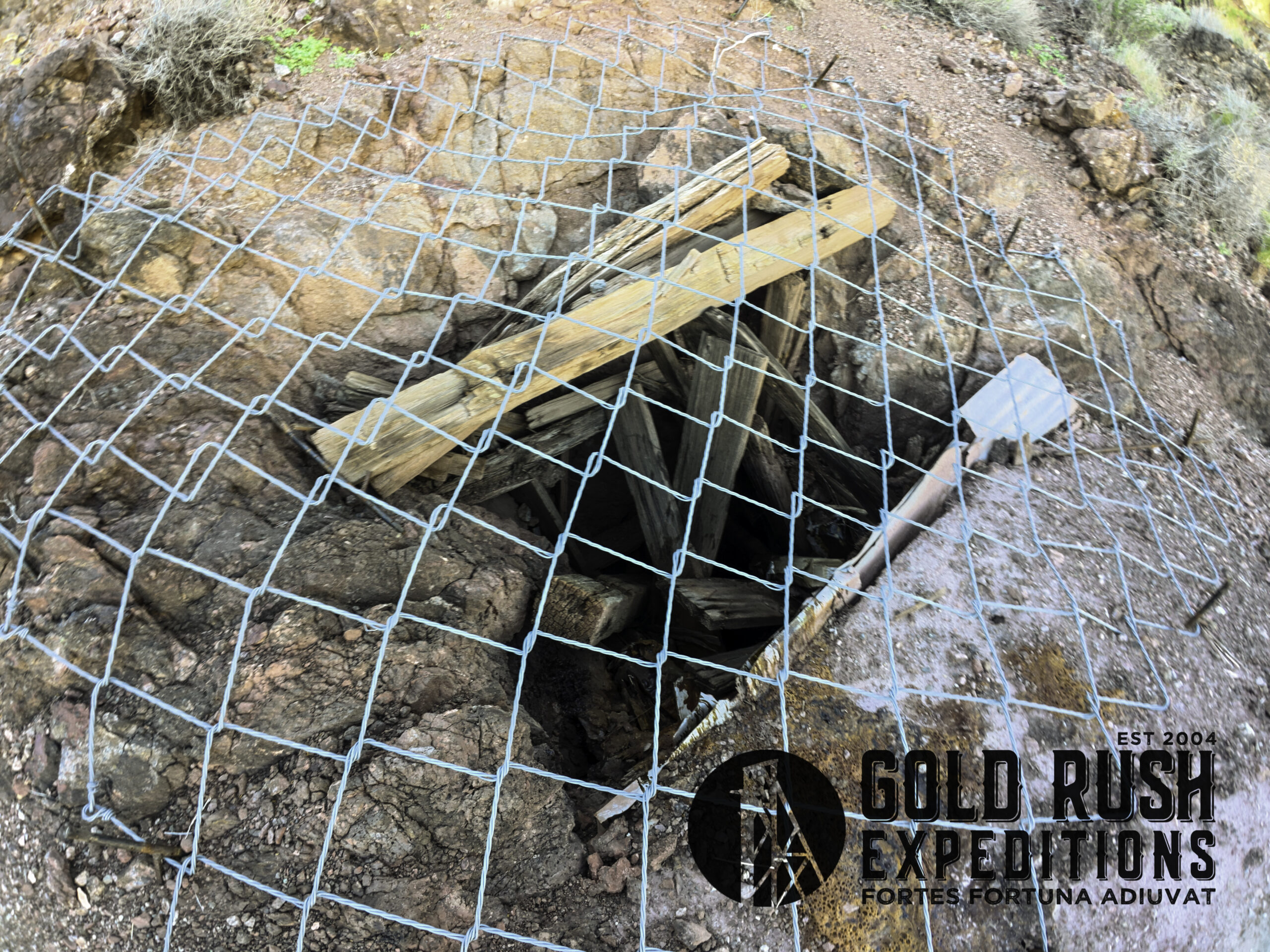 Rawhide Gold-Silver Mineral Property