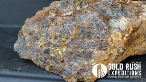 Expectation Gold Mineral Property
