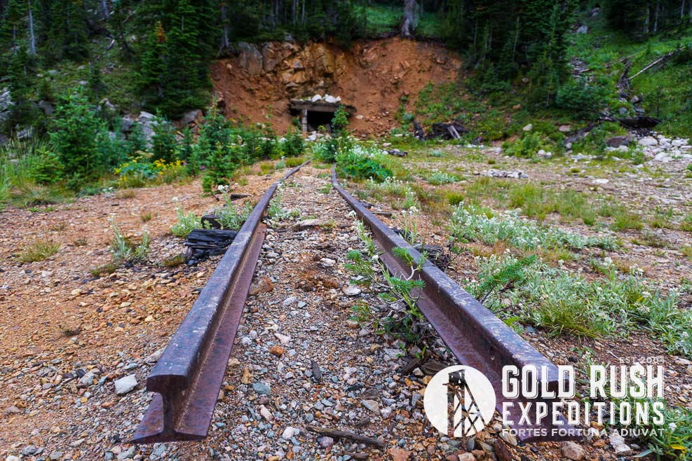 Gold Dust Mine-Mill Mineral Property
